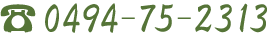 0494-75-2313